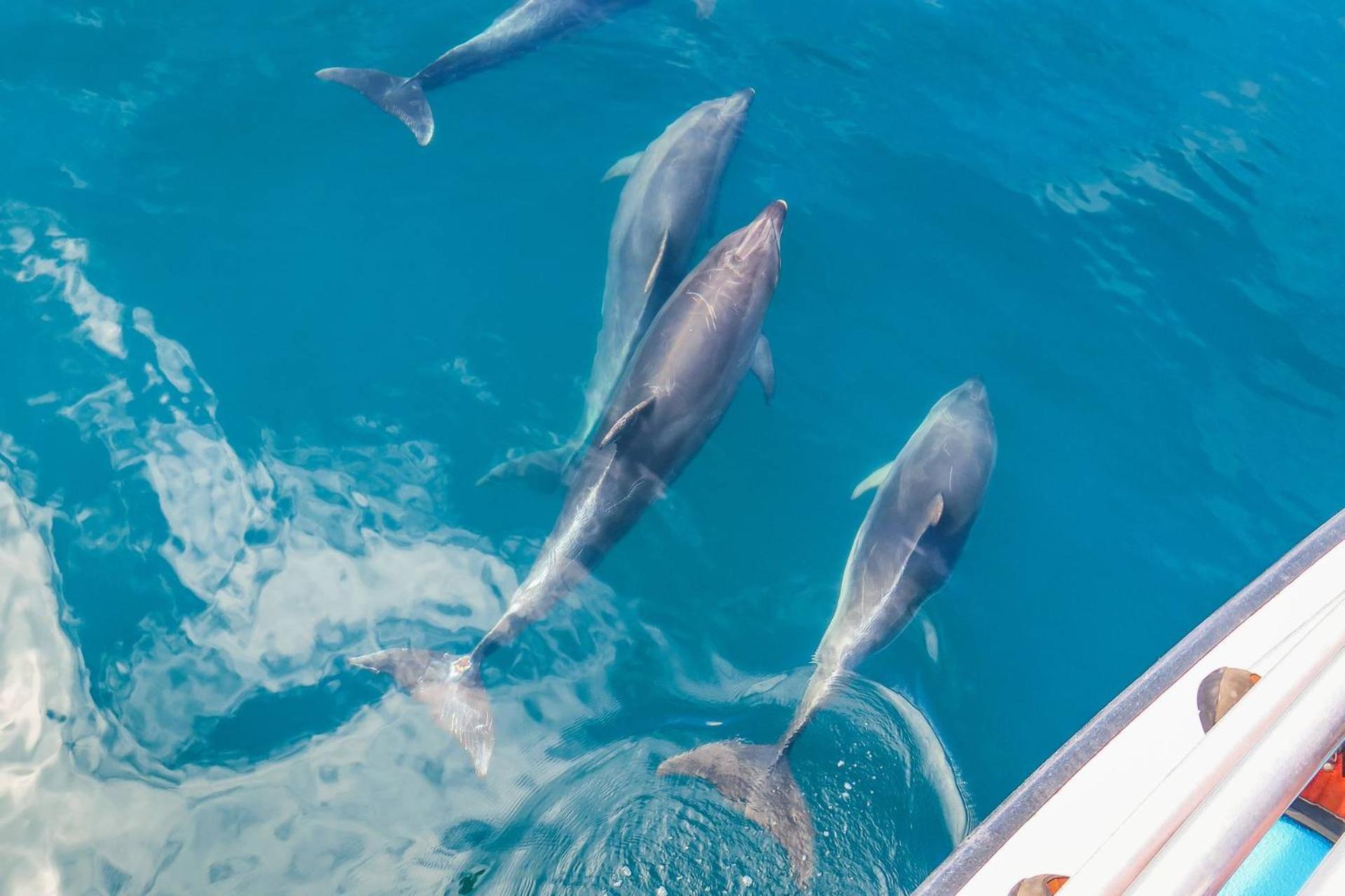 Group Hug Villa Gulf Shores Ngoại thất bức ảnh